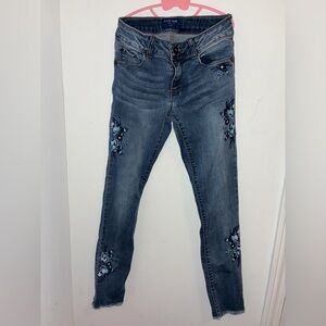 Arizona Jean Company Blue Embroidered Kids Jeans